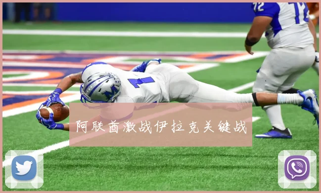 阿联酋激战伊拉克关键战