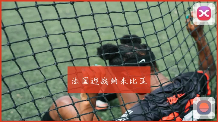 法国迎战纳米比亚
