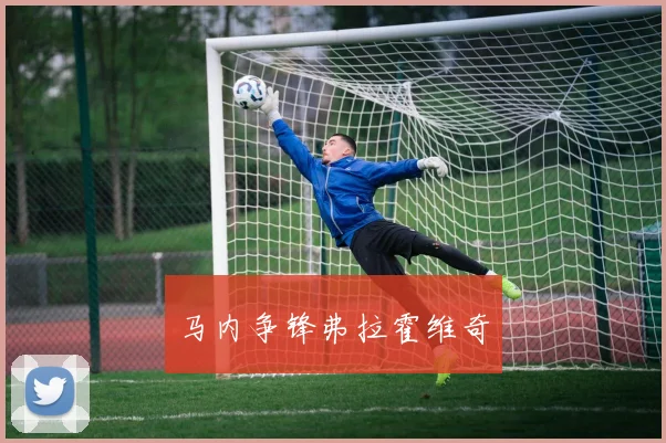 马内争锋弗拉霍维奇