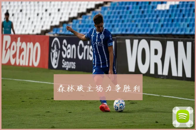 森林狼主场力争胜利