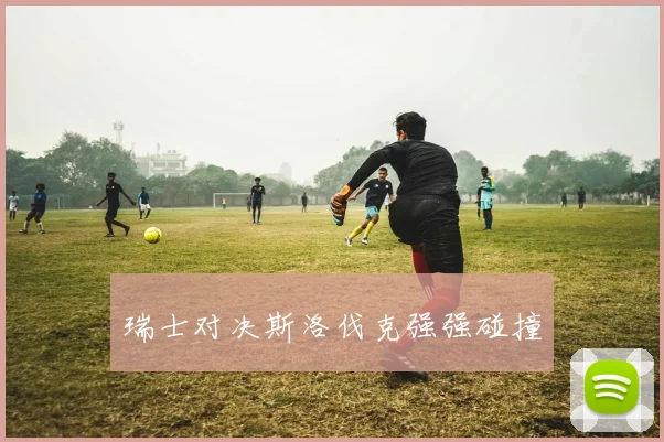 瑞士对决斯洛伐克强强碰撞