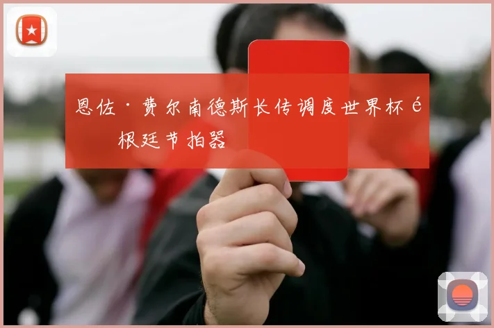 恩佐·费尔南德斯长传调度世界杯阿根廷节拍器