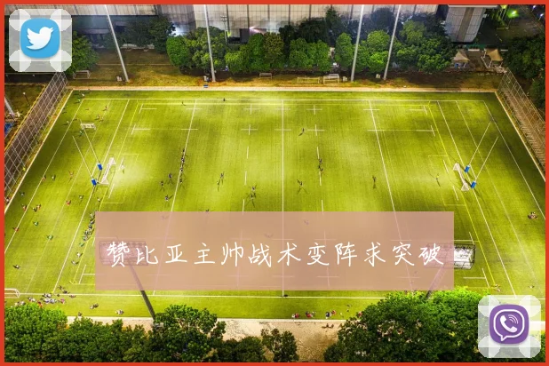 赞比亚主帅战术变阵求突破