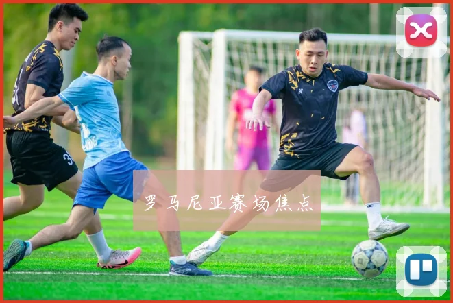 罗马尼亚赛场焦点