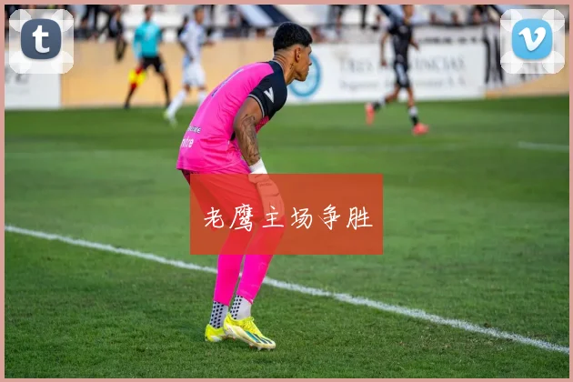 老鹰主场争胜