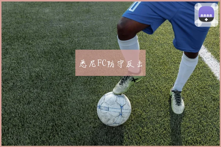 悉尼FC防守反击