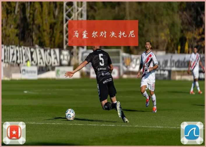 马奎尔对决托尼
