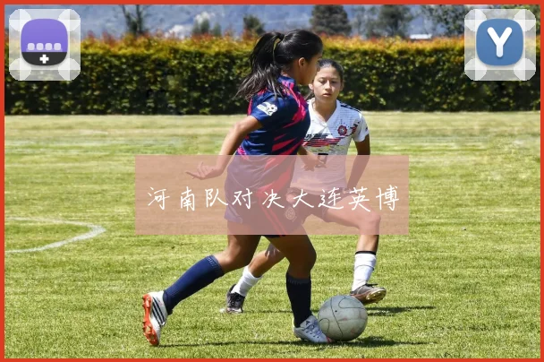 河南队对决大连英博