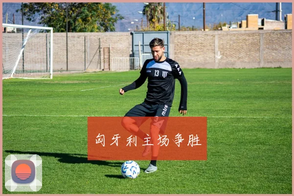 匈牙利主场争胜