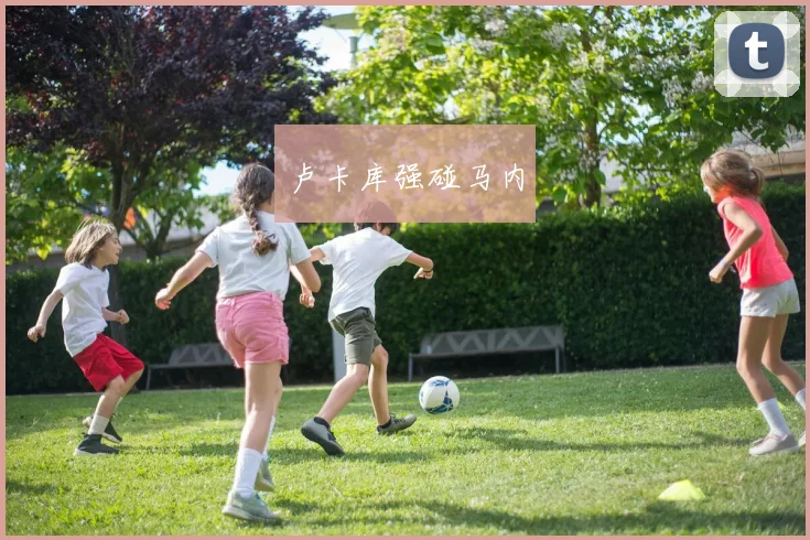 卢卡库强碰马内