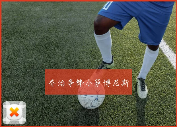 乔治争锋小萨博尼斯