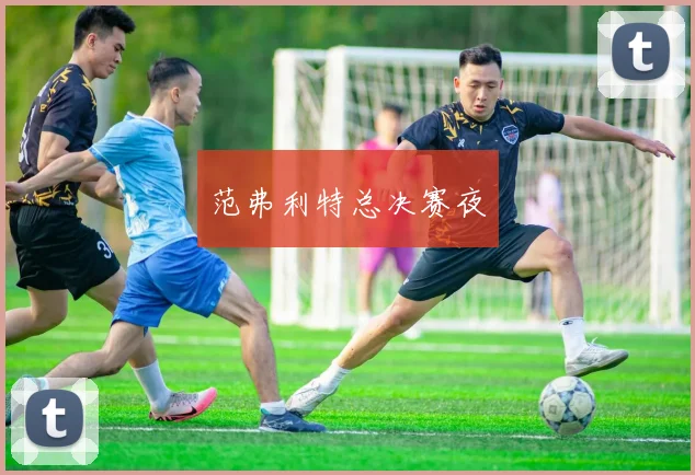 范弗利特总决赛夜