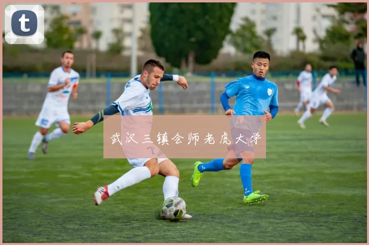 武汉三镇会师老虎大学