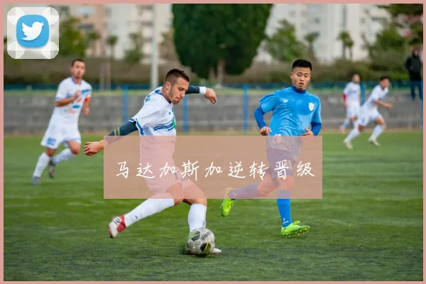 马达加斯加逆转晋级