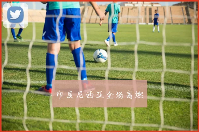 印度尼西亚全场高燃