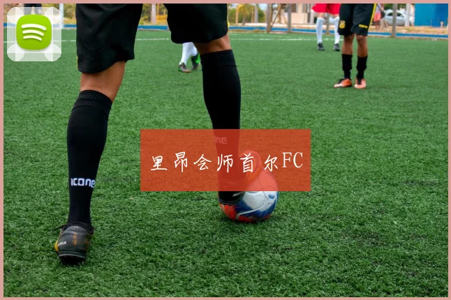 里昂会师首尔FC