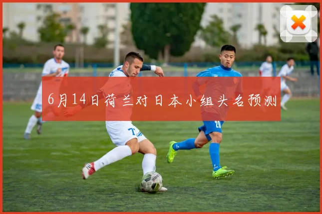 6月14日荷兰对日本小组头名预测
