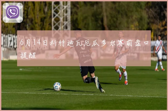 6月14日科特迪瓦厄瓜多尔赛前盘口提醒