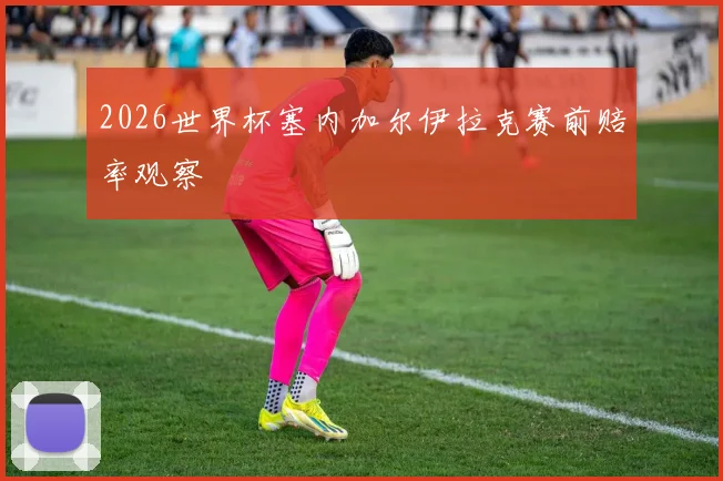2026世界杯塞内加尔伊拉克赛前赔率观察